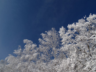 Similar image 547291