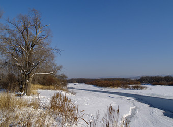 Similar image 547309