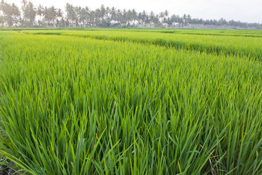 Similar image 547346