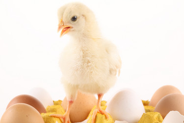 Similar image 547360