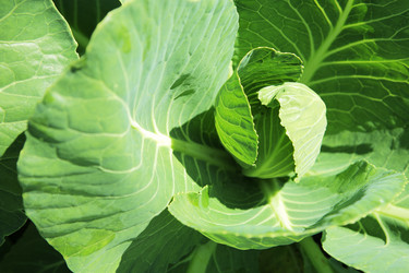 Similar image 547378