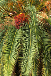 Similar image 547386