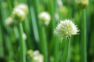 Similar image 547390