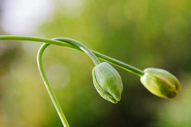 Similar image 547392