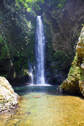 Similar image 547422