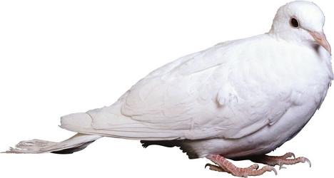 Similar image 547742