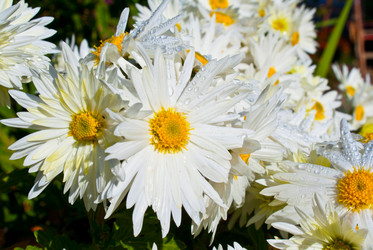 Similar image 547841