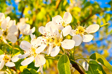 Similar image 547843