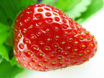 Similar image 547848