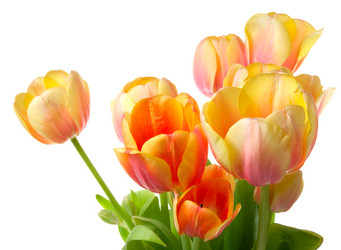 Similar image 547881