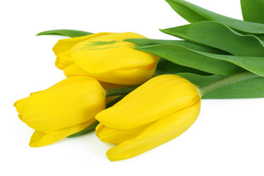 Similar image 547882