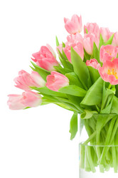 Similar image 547959