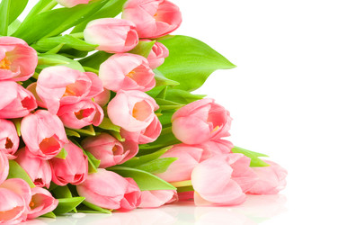 Similar image 547961