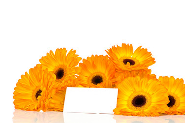 Similar image 547966