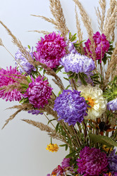 Similar image 547974