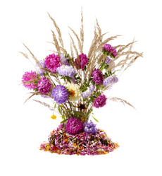 Similar image 547976