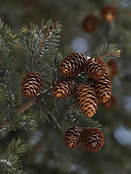 Similar image 548033