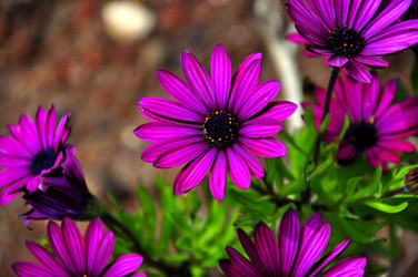 Similar image 548036