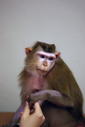 Similar image 548106