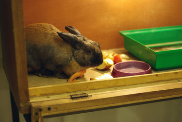 Similar image 548112