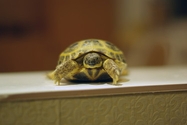 Similar image 548116