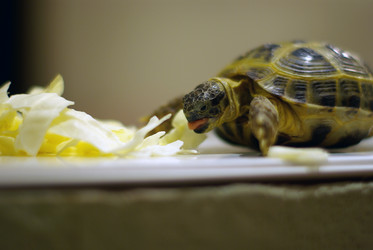 Similar image 548117