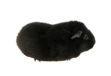 Similar image 548123