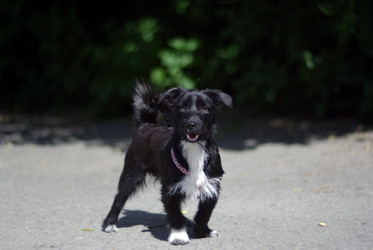 Similar image 548160