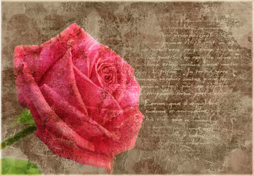 Similar image 548173