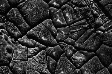 Similar image 548210