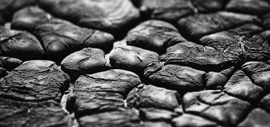 Similar image 548212