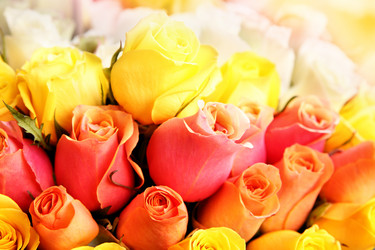 Similar image 548298