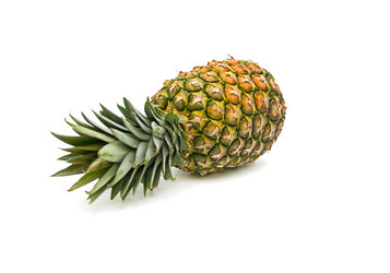 Similar image 548301