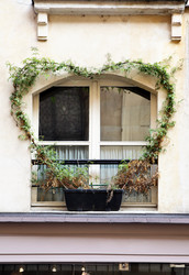 Similar image 548313