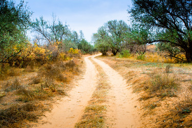 Similar image 548328