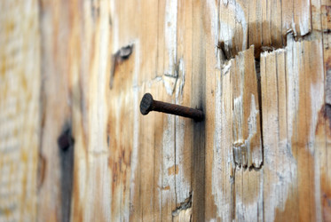 Similar image 548369