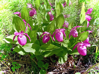 Similar image 548422