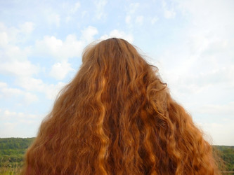 Similar image 548441