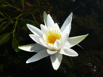 Similar image 548630