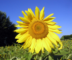 Similar image 548634