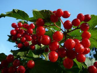 Similar image 548643