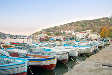 Similar image 548659