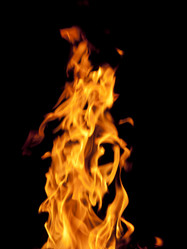 Similar image 548669