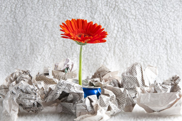 Similar image 548791