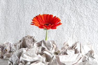 Similar image 548798