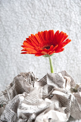 Similar image 548801