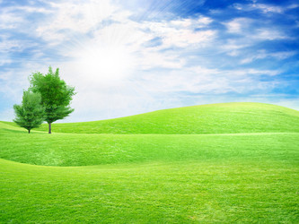 Similar image 548862