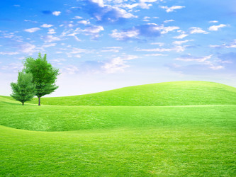 Similar image 548867