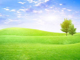 Similar image 548868