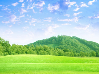 Similar image 548869